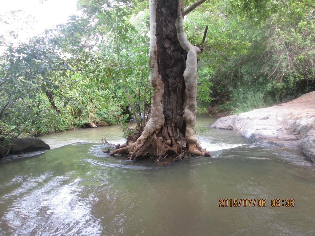 Sigiriya River Side Resort ภายนอก รูปภาพ