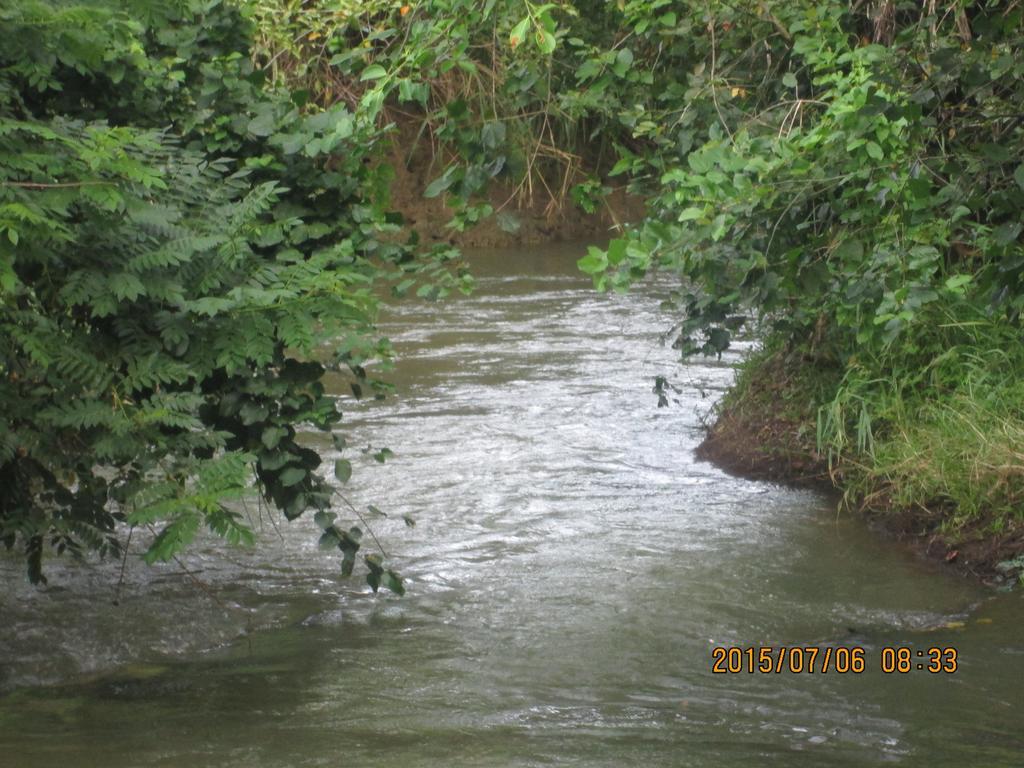 Sigiriya River Side Resort ภายนอก รูปภาพ