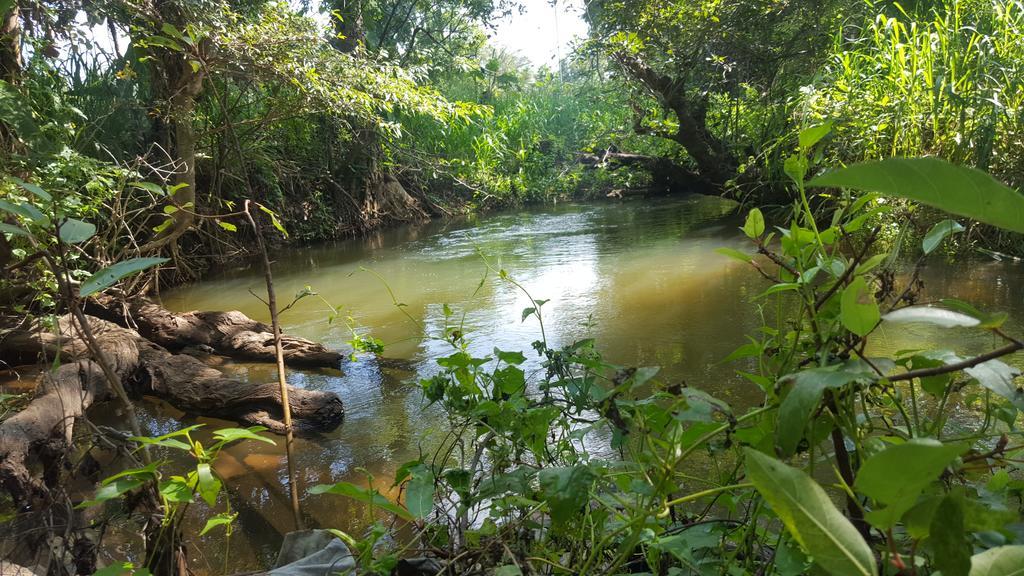 Sigiriya River Side Resort ภายนอก รูปภาพ