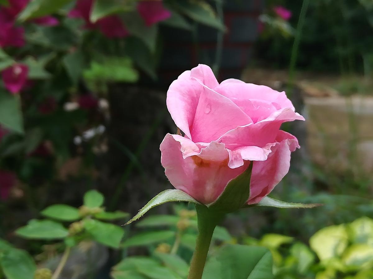 Sigiriya River Side Resort ภายนอก รูปภาพ