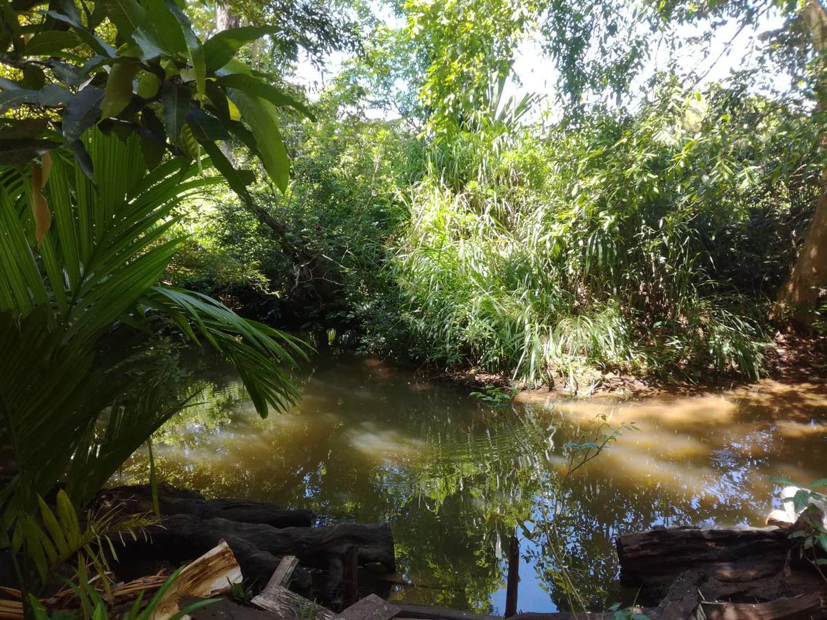 Sigiriya River Side Resort ภายนอก รูปภาพ